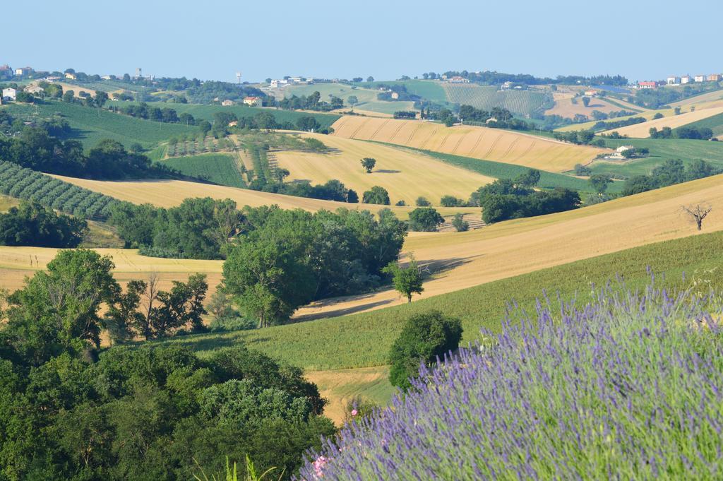 Agriturismo Tenuta Belvedere Villa Belvedere Ostrense Eksteriør bilde