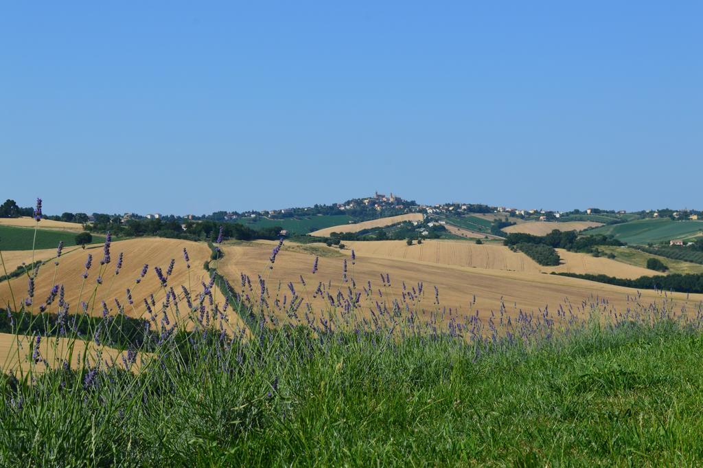 Agriturismo Tenuta Belvedere Villa Belvedere Ostrense Eksteriør bilde