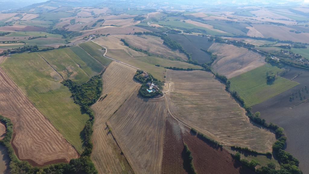 Agriturismo Tenuta Belvedere Villa Belvedere Ostrense Eksteriør bilde